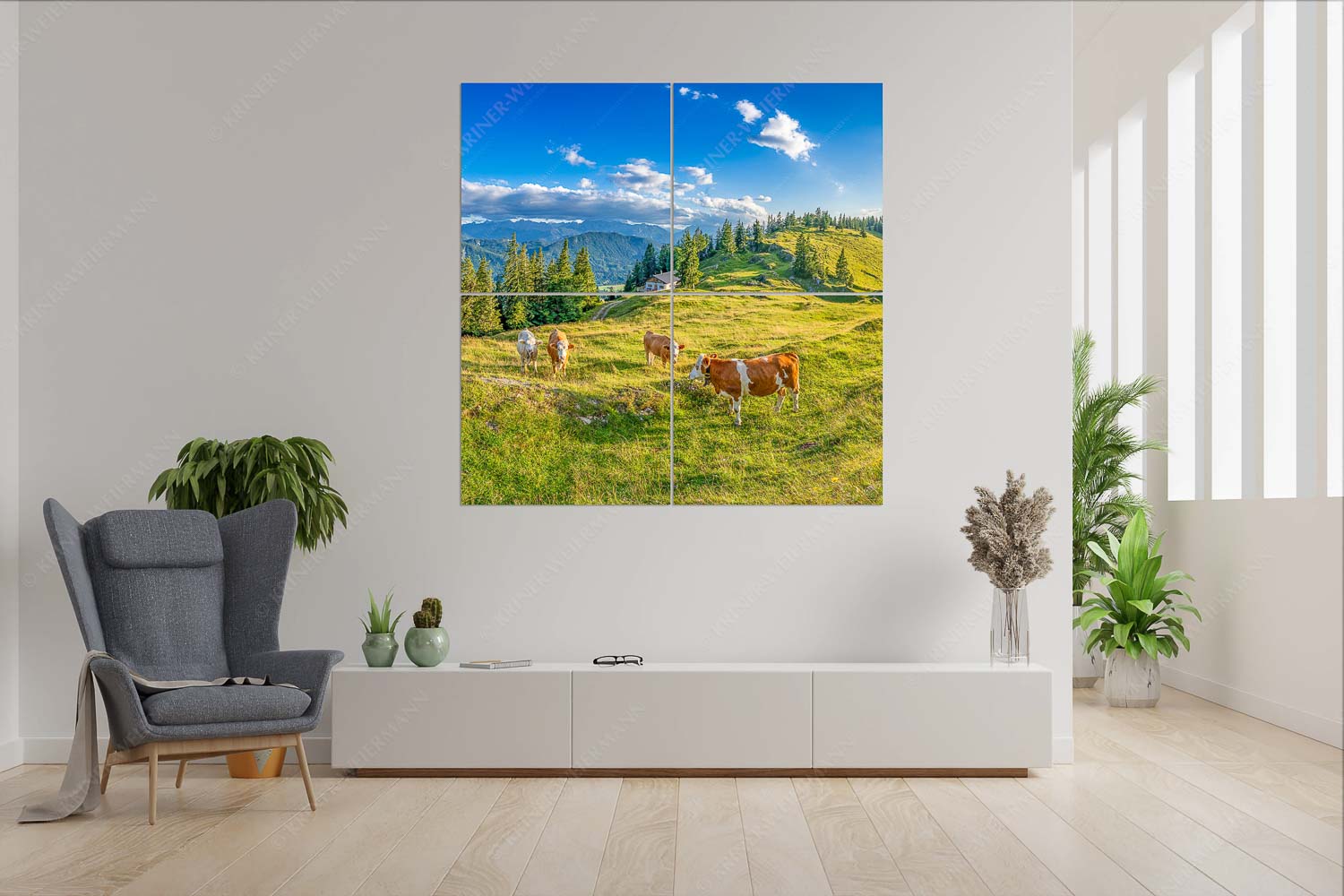 Almabend – Wandbild – 4er Split, Größe ca. 180x180cm, Seitenverhältnis 1:1 — Almweide Jachenau Junge Kälber auf einer Alm bei Jachenau - Almabend - Wandbild - 4er Split, Größe ca. 180x180cm, Seitenverhältnis 1:1 - Almweide Jachenau - weitere Infos unter https://www.kriner-weiermann.de