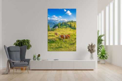 Junge Kälber auf einer Alm bei Jachenau - Almabend - Wandbild - Größe ca. 120x180cm, Seitenverhältnis 2:3 - Almweide Jachenau - weitere Infos unter https://www.kriner-weiermann.de