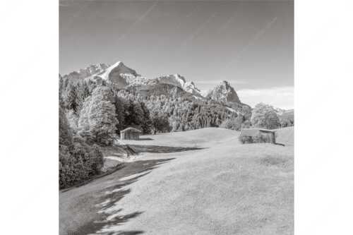 Wiesen bei Wamberg mit Blick zum Zugspitzmassiv - Herbstanfang - Seitenverhältnis 1:1 - Alpspitze Zugspitze Waxenstein - weitere Infos unter https://www.kriner-weiermann.de