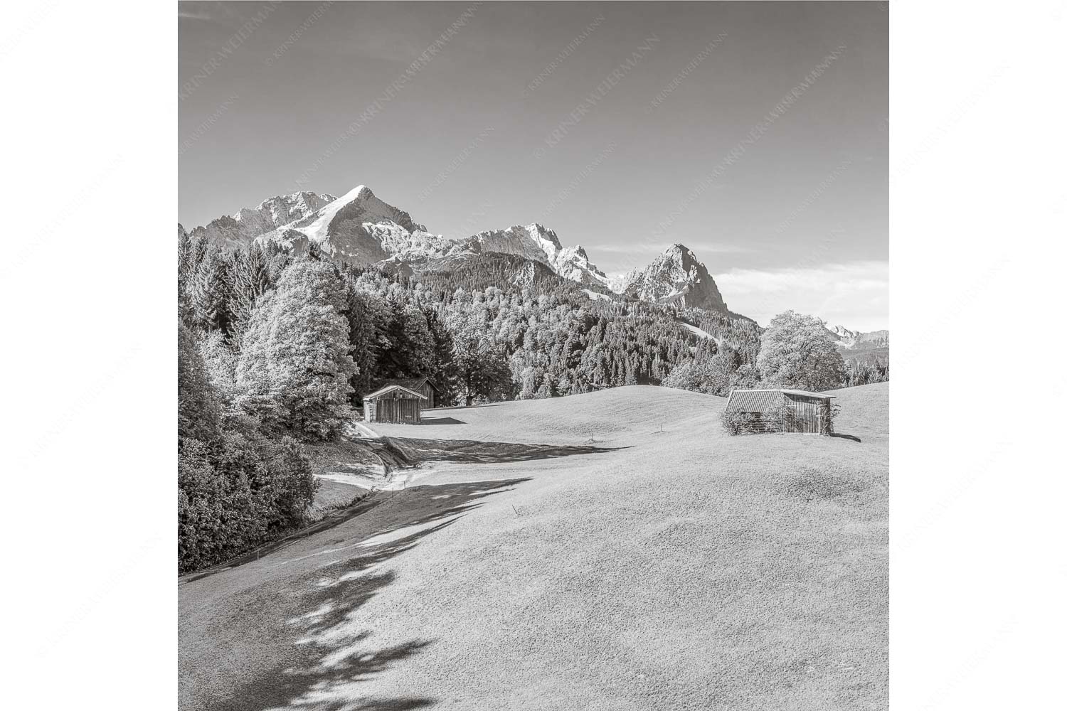 Wiesen bei Wamberg mit Blick zum Zugspitzmassiv - Herbstanfang - Seitenverhältnis 1:1 - Alpspitze Zugspitze Waxenstein - weitere Infos unter https://www.kriner-weiermann.de