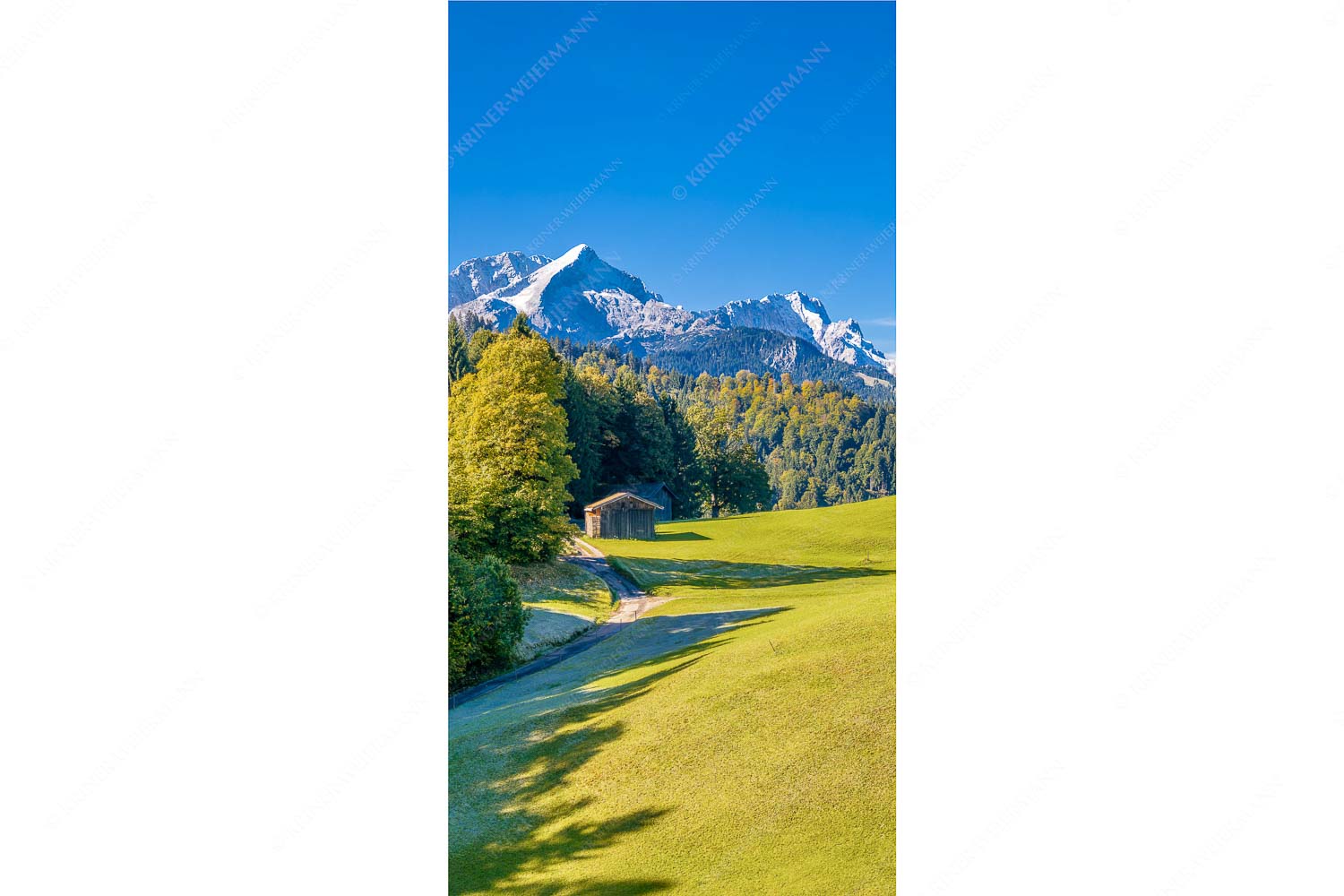 Wiesen bei Wamberg mit Blick zum Zugspitzmassiv - Herbstanfang - Seitenverhältnis 1:2 - Alpspitze Zugspitze Waxenstein - weitere Infos unter https://www.kriner-weiermann.de