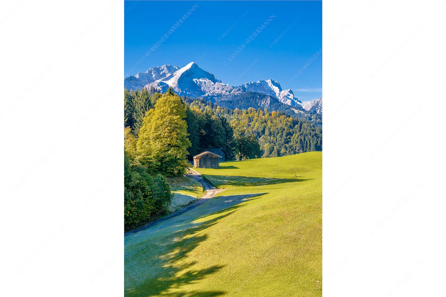 Wiesen bei Wamberg mit Blick zum Zugspitzmassiv