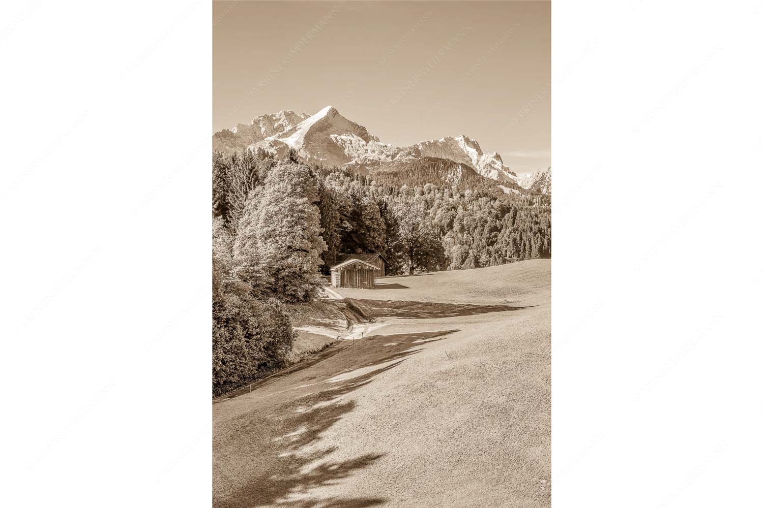 Wiesen bei Wamberg mit Blick zum Zugspitzmassiv