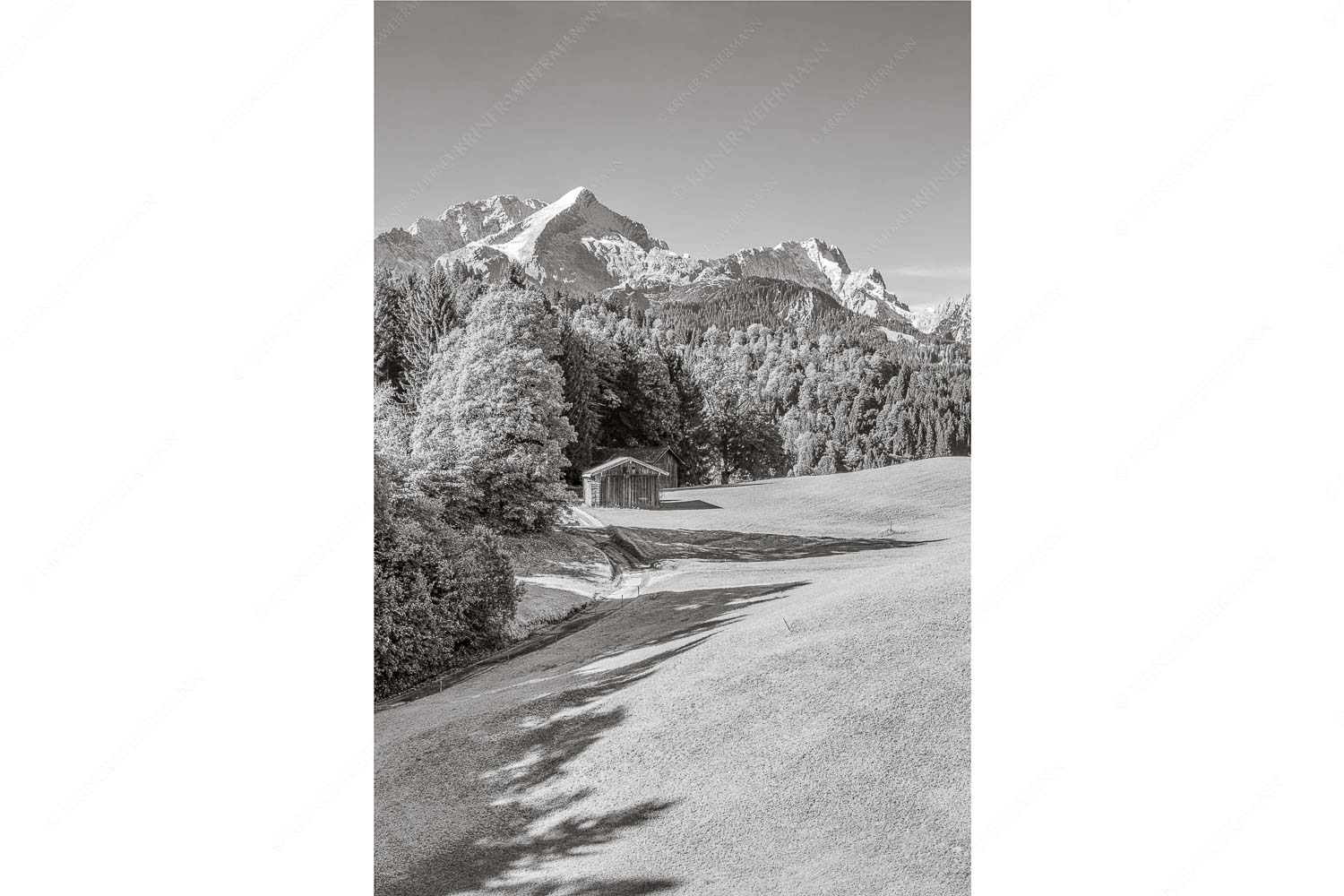 Wiesen bei Wamberg mit Blick zum Zugspitzmassiv