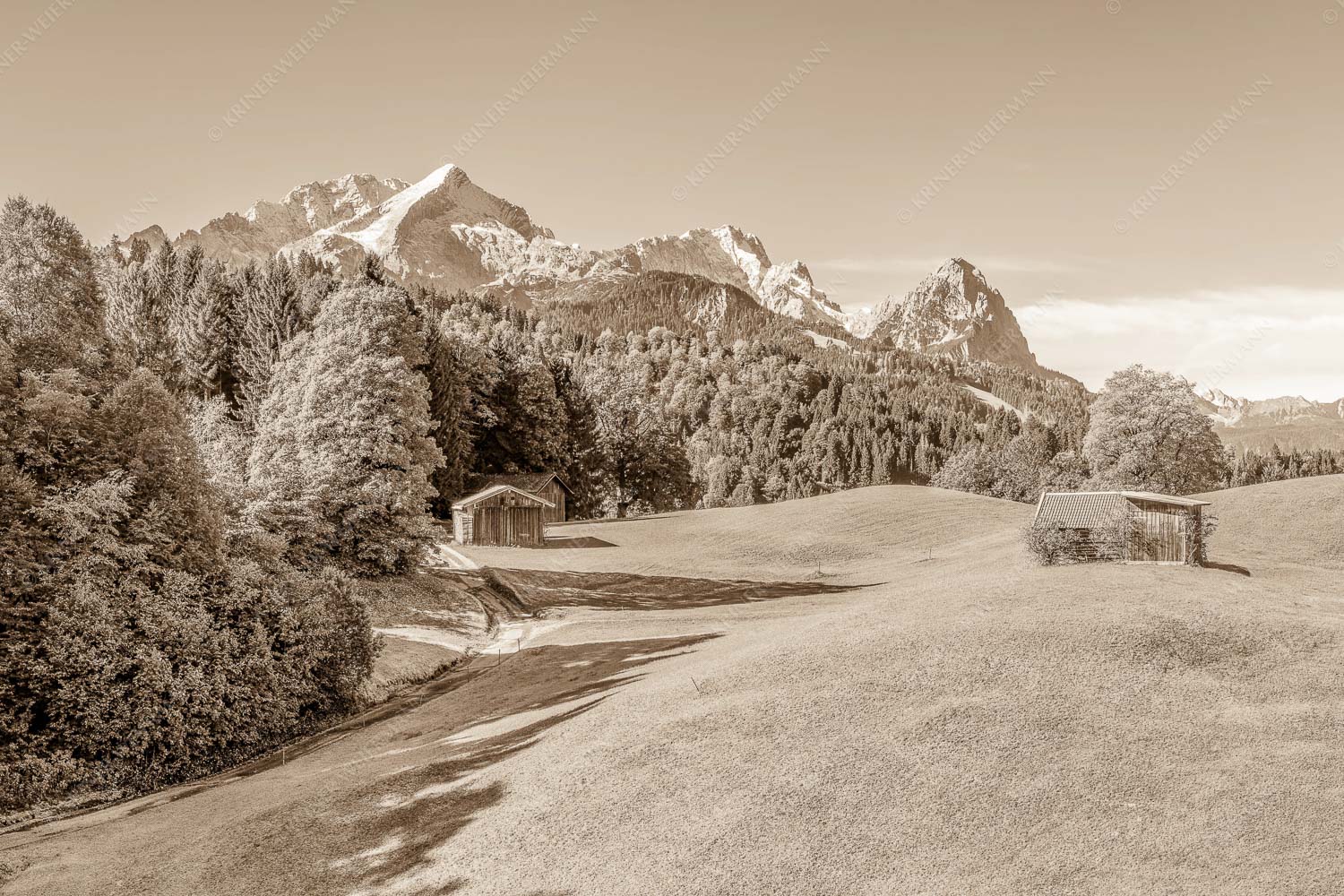 Wiesen bei Wamberg mit Blick zum Zugspitzmassiv