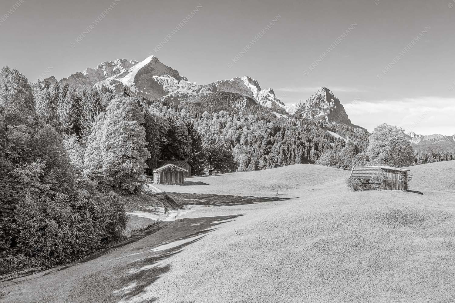 Wiesen bei Wamberg mit Blick zum Zugspitzmassiv