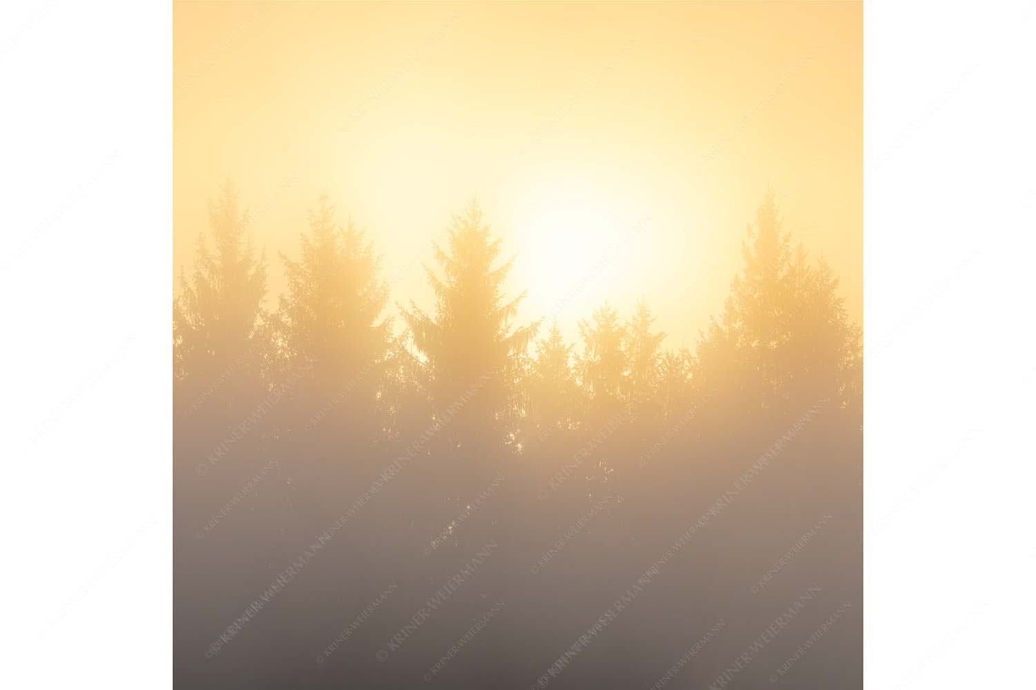 Sonnenaufgang im Nebel
