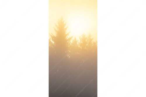 Sonnenaufgang im Nebel - Lichtwerden - Seitenverhältnis 1:2 - Sonne Nebel Wald - weitere Infos unter https://www.kriner-weiermann.de