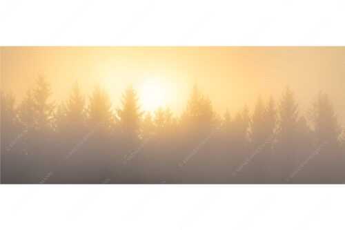 Sonnenaufgang im Nebel - Lichtwerden - Seitenverhältnis 2,5:1 - Sonne Nebel Wald - weitere Infos unter https://www.kriner-weiermann.de