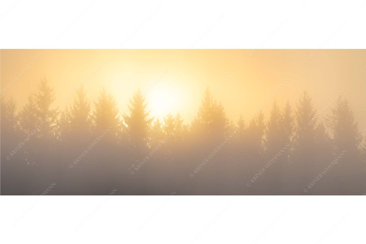 Lichtwerden – Seitenverhältnis 2,5:1 — Sonne Nebel Wald Sonnenaufgang im Nebel