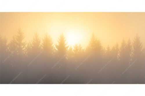 Sonnenaufgang im Nebel - Lichtwerden - Seitenverhältnis 2:1 - Sonne Nebel Wald - weitere Infos unter https://www.kriner-weiermann.de