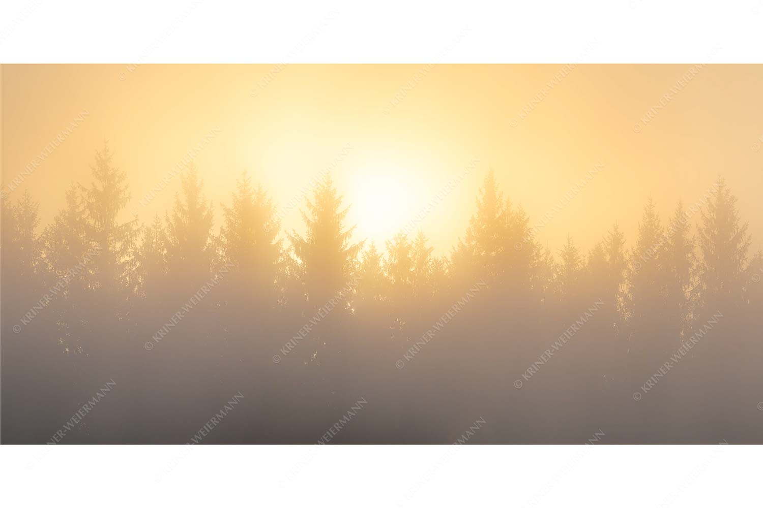 Sonnenaufgang im Nebel - Lichtwerden - Seitenverhältnis 2:1 - Sonne Nebel Wald - weitere Infos unter https://www.kriner-weiermann.de