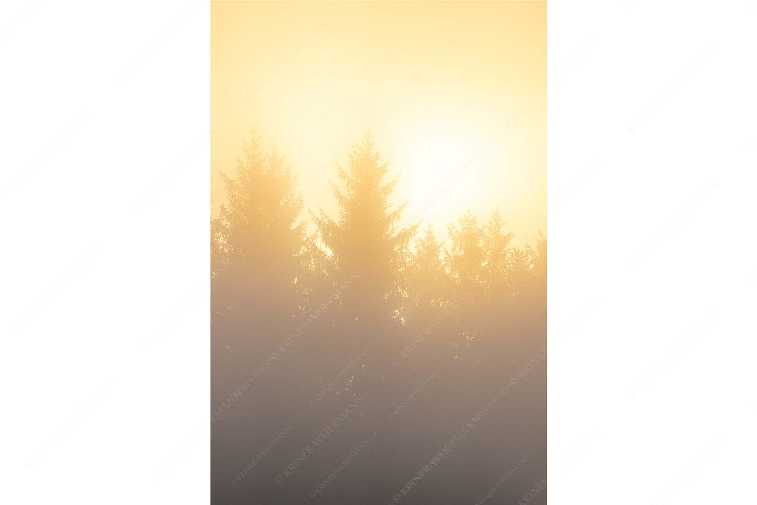Sonnenaufgang im Nebel