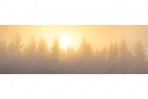 Sonnenaufgang im Nebel - Lichtwerden - Seitenverhältnis 3:1 - Sonne Nebel Wald - weitere Infos unter https://www.kriner-weiermann.de