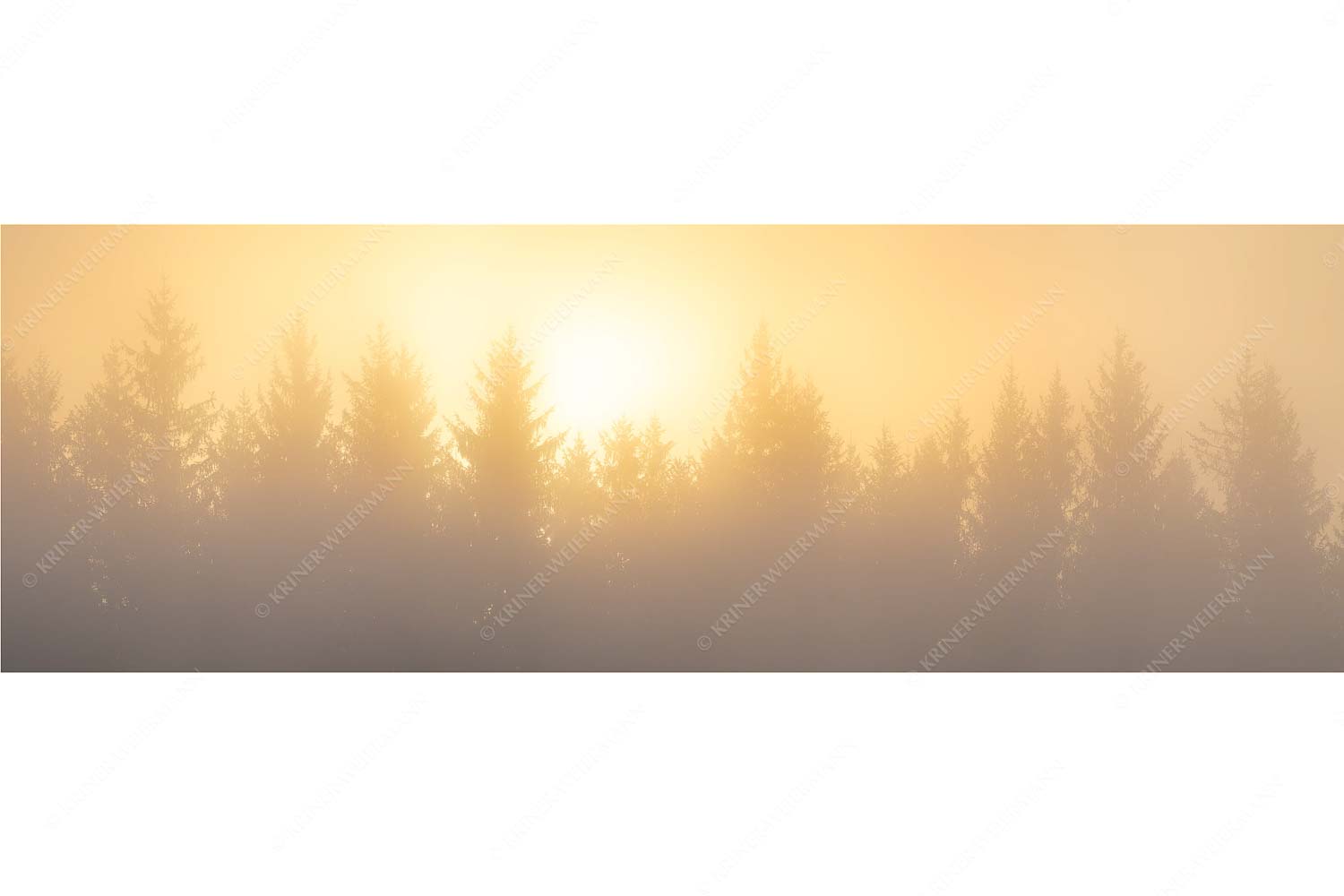Sonnenaufgang im Nebel