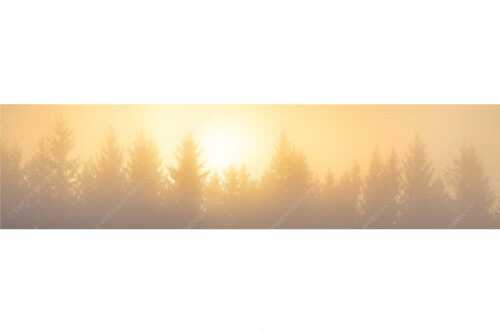 Sonnenaufgang im Nebel - Lichtwerden - Seitenverhältnis 4:1 - Sonne Nebel Wald - weitere Infos unter https://www.kriner-weiermann.de