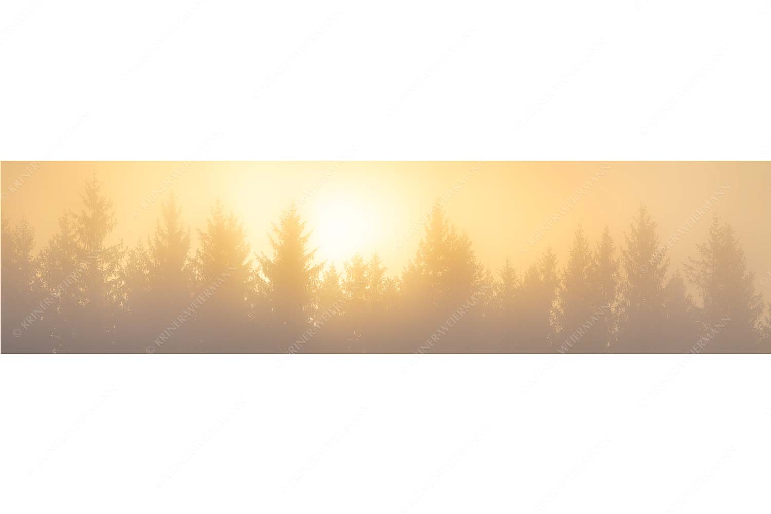 Sonnenaufgang im Nebel - Lichtwerden - Seitenverhältnis 4:1 - Sonne Nebel Wald - weitere Infos unter https://www.kriner-weiermann.de