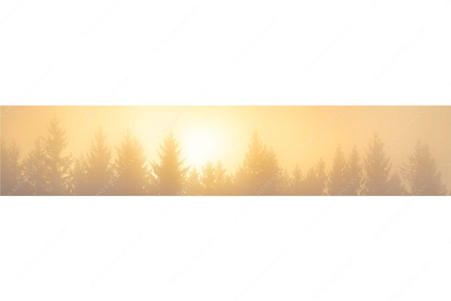 Sonnenaufgang im Nebel - Lichtwerden - Seitenverhältnis 5:1 - Sonne Nebel Wald - weitere Infos unter https://www.kriner-weiermann.de