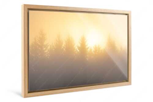 Sonnenaufgang im Nebel - Lichtwerden - Foto im Schattenfugen-Rahmen, Seitenverhältnis 3:2 - Sonne Nebel Wald - weitere Infos unter https://www.kriner-weiermann.de