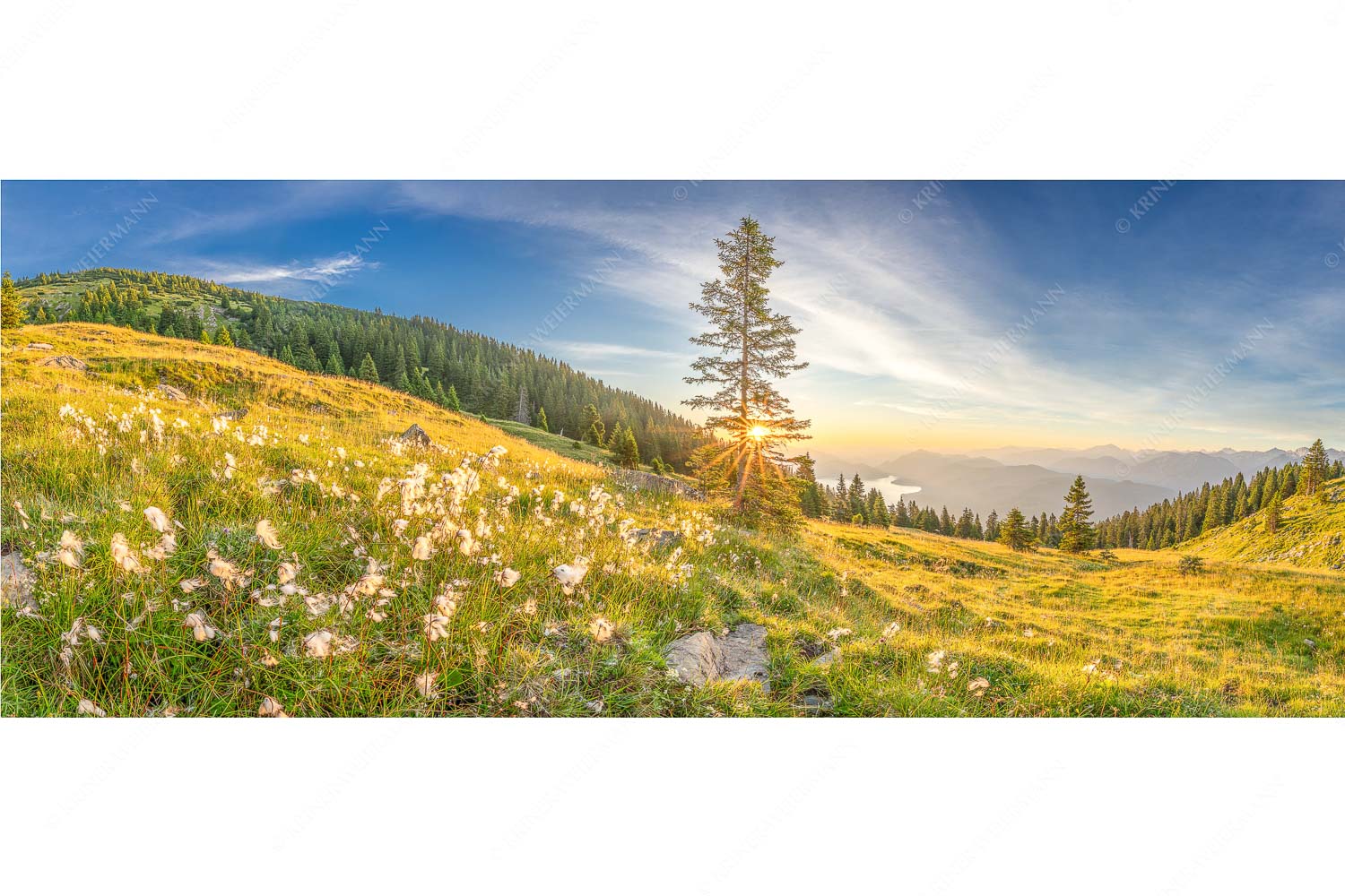 Almwiese am Simetsberg mit Walchensee