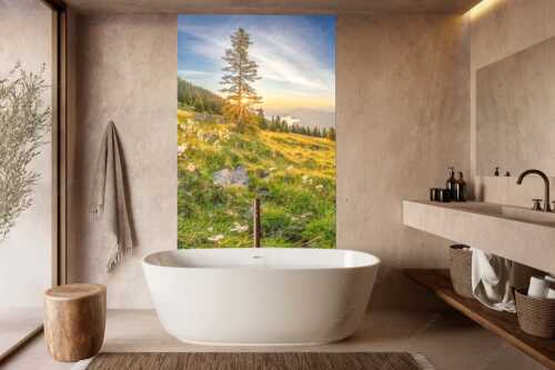 Almwiese am Simetsberg mit Walchensee - Wollgras im Morgenlicht - Wandbild - Größe ca. 160x240cm, Seitenverhältnis 2:3 - Estergebirge Walchensee - weitere Infos unter https://www.kriner-weiermann.de