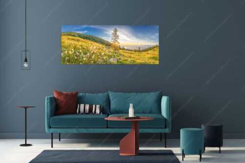 Almwiese am Simetsberg mit Walchensee - Wollgras im Morgenlicht - Wandbild - Größe ca. 175x70cm, Seitenverhältnis 2,5:1 - Estergebirge Walchensee - weitere Infos unter https://www.kriner-weiermann.de