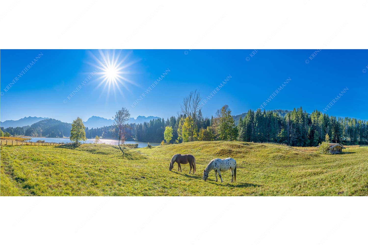 Zwischen Pferd und Berg – Seitenverhältnis 2,5:1 — Geroldsee Karwendel Zwei Pferde auf Herbstweide vor dem Geroldsee mit Blick zum Wörner im Karwendel