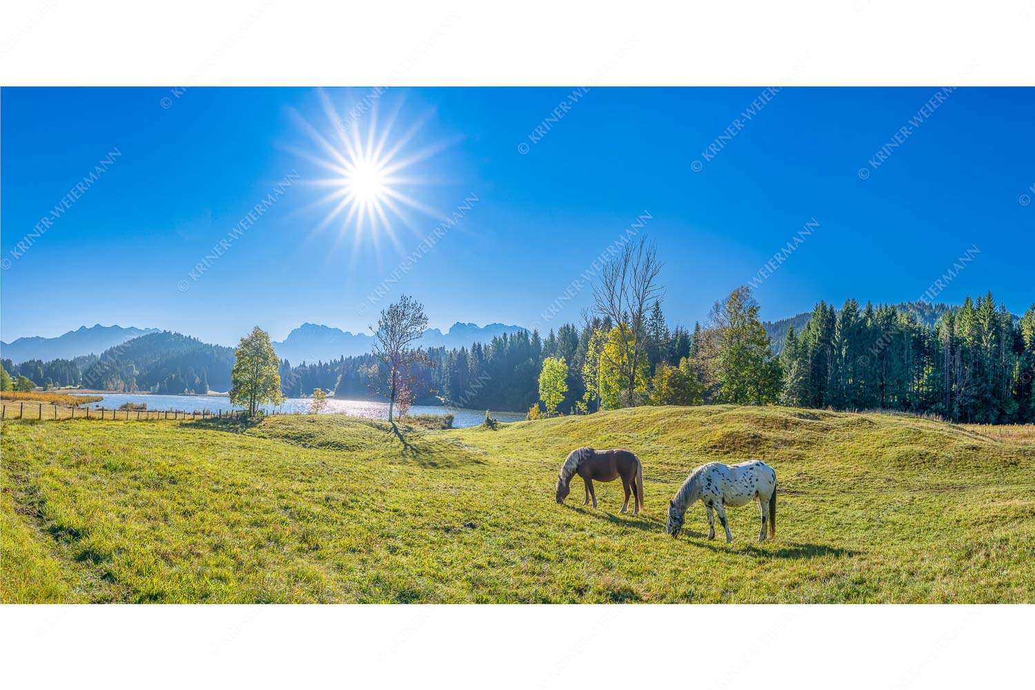 Zwei Pferde auf Herbstweide vor dem Geroldsee mit Blick zum Wörner im Karwendel - Zwischen Pferd und Berg - Seitenverhältnis 2:1 - Geroldsee Karwendel - weitere Infos unter https://www.kriner-weiermann.de