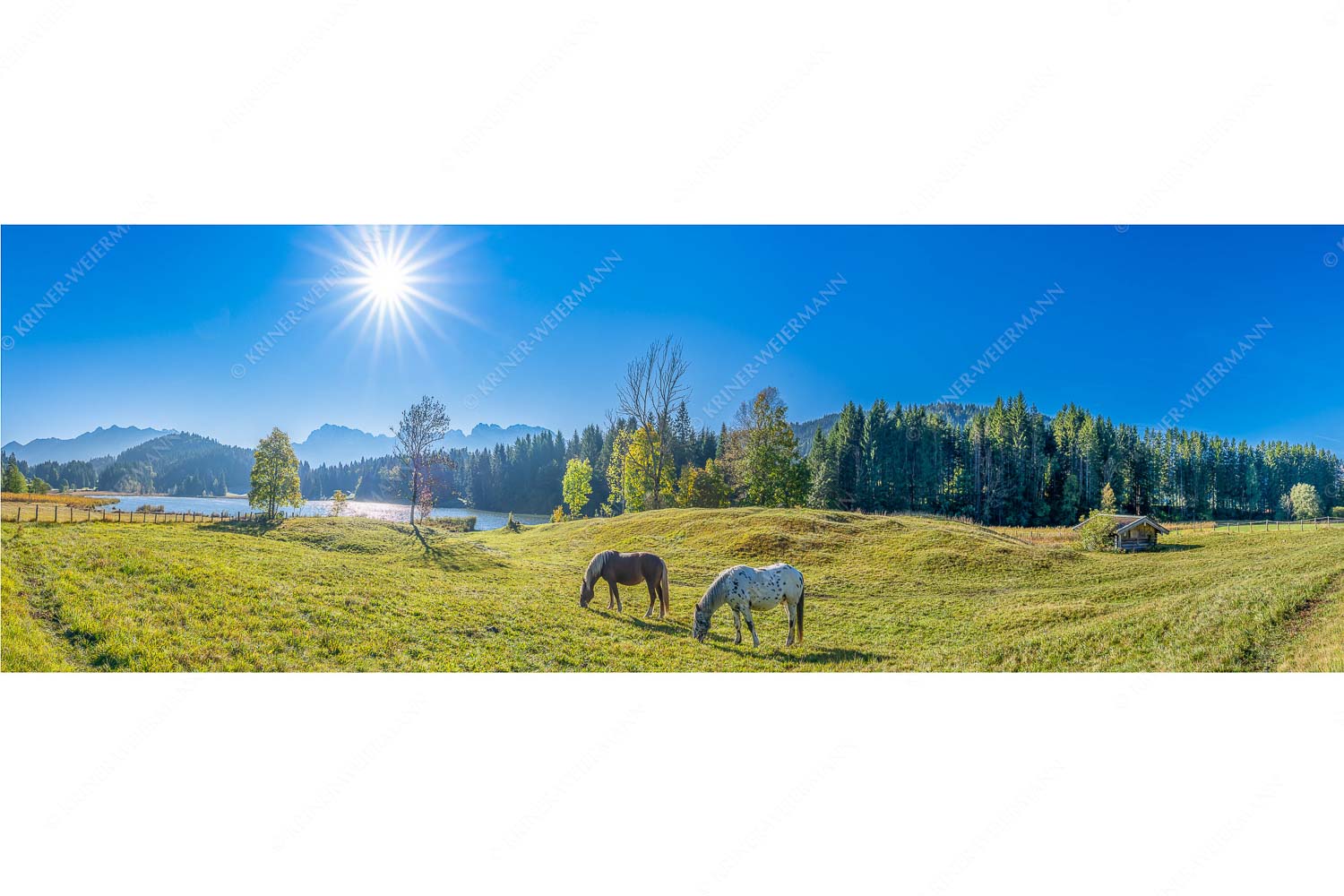 Zwei Pferde auf Herbstweide vor dem Geroldsee mit Blick zum Wörner im Karwendel