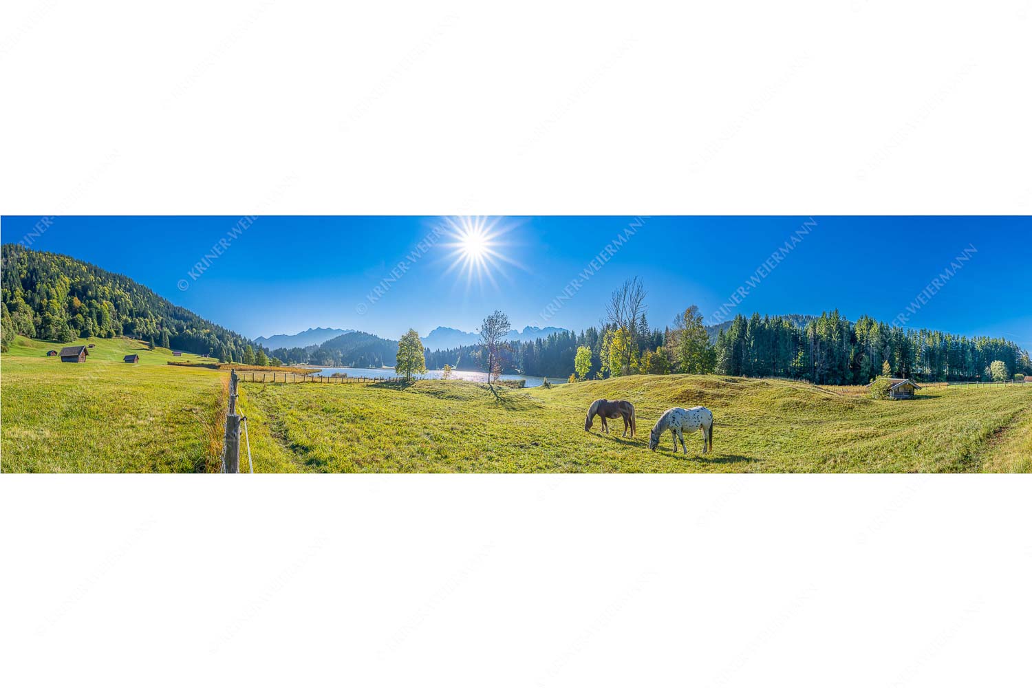 Zwischen Pferd und Berg – Seitenverhältnis 4:1 — Geroldsee Karwendel Zwei Pferde auf Herbstweide vor dem Geroldsee mit Blick zum Wörner im Karwendel