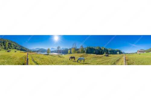 Zwei Pferde auf Herbstweide vor dem Geroldsee mit Blick zum Wörner im Karwendel - Zwischen Pferd und Berg - Seitenverhältnis 5:1 - Geroldsee Karwendel - weitere Infos unter https://www.kriner-weiermann.de