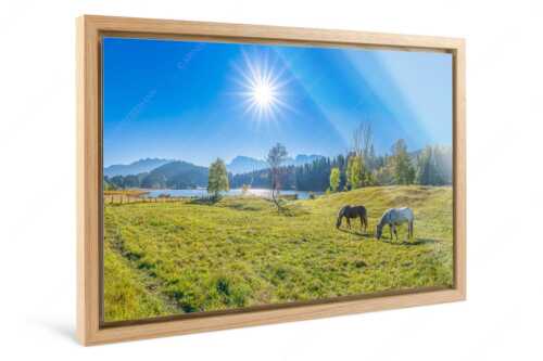 Zwei Pferde auf Herbstweide vor dem Geroldsee mit Blick zum Wörner im Karwendel - Zwischen Pferd und Berg - Foto im Schattenfugen-Rahmen, Seitenverhältnis 3:2 - Geroldsee Karwendel - weitere Infos unter https://www.kriner-weiermann.de