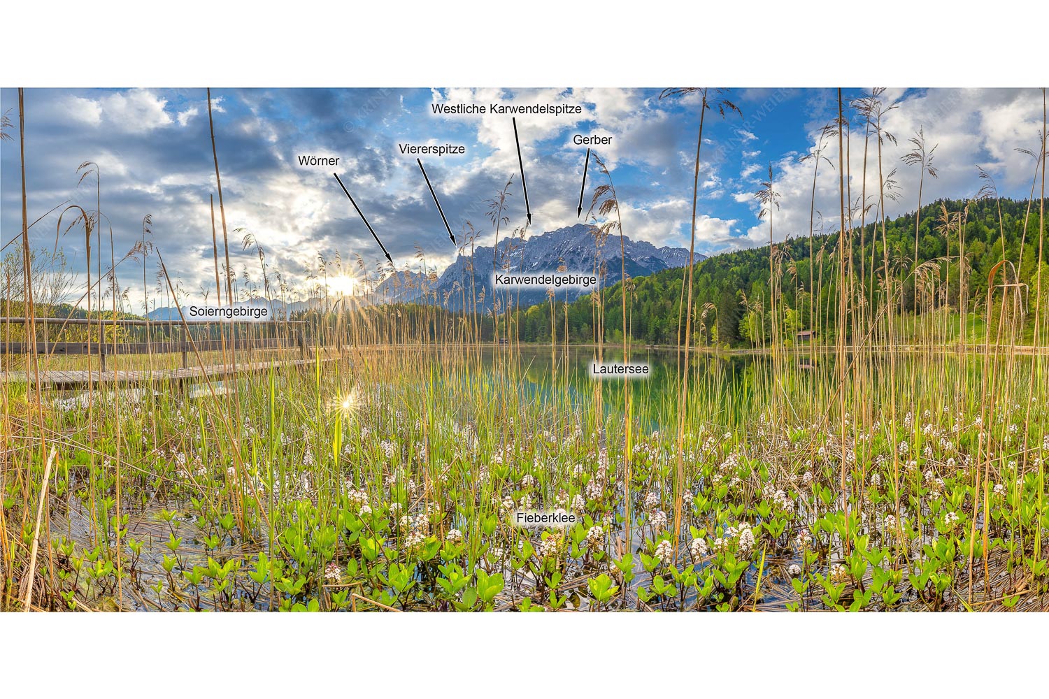 Zartes Wesen — Die zarten Blüten des Fieberklees sind mit die ersten Booten im Frühling - Zartes Wesen -