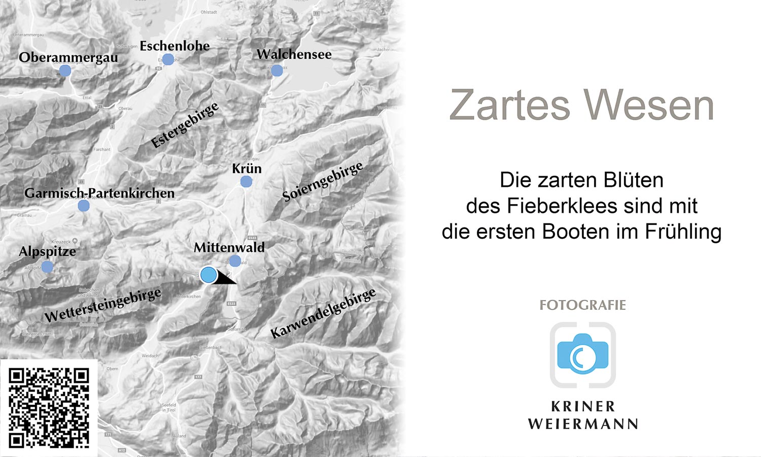 Zartes Wesen — Die zarten Blüten des Fieberklees sind mit die ersten Booten im Frühling - Zartes Wesen -