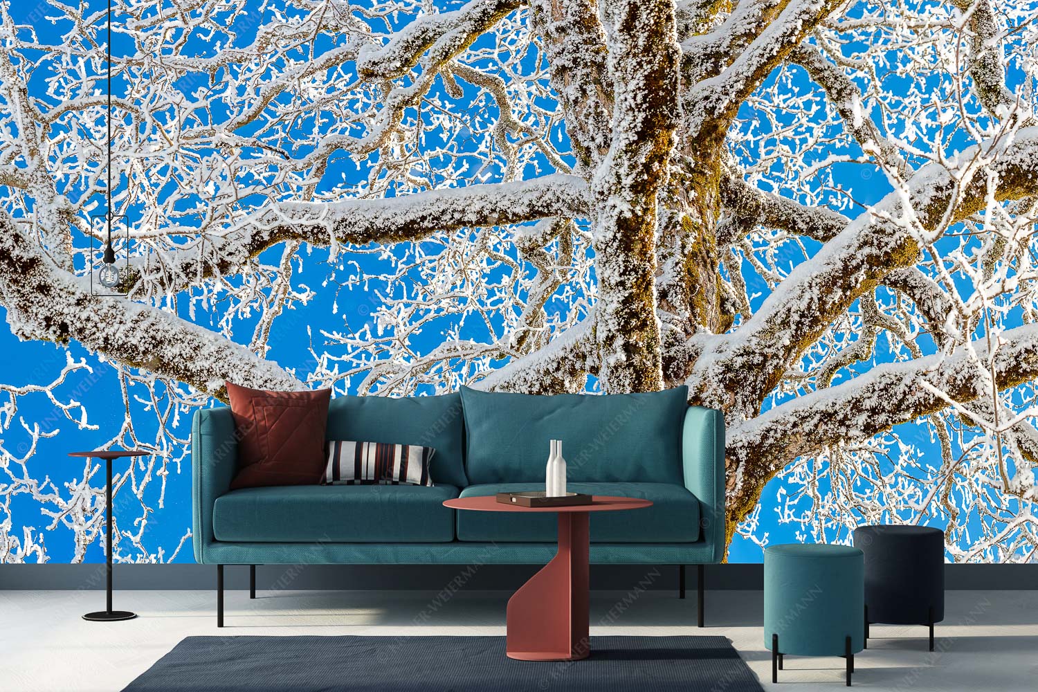 Geäst – Fototapete – Größe ca. 400x200cm, Seitenverhältnis 2 — Ahornbaum Winter Neuschnee an altem Ahornbaum - Geäst - Fototapete - Größe ca. 400x200cm, Seitenverhältnis 2 - Ahornbaum Winter - weitere Infos unter https://www.kriner-weiermann.de