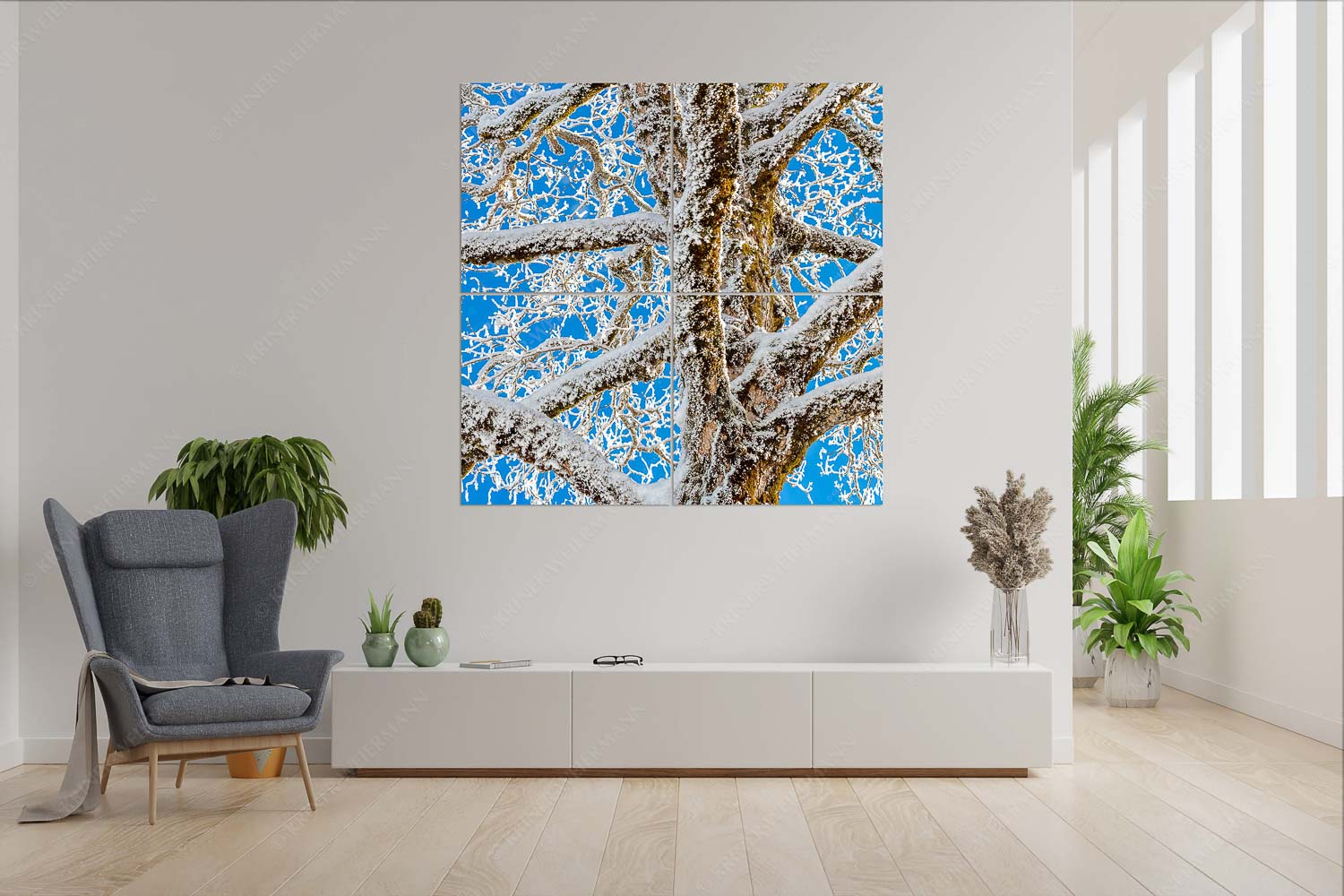 Neuschnee an altem Ahornbaum - Geäst - Wandbild - 4er Split, Größe ca. 180x180cm, Seitenverhältnis 1:1 - Ahornbaum Winter - weitere Infos unter https://www.kriner-weiermann.de