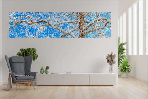 Neuschnee an altem Ahornbaum - Geäst - Wandbild - 4er Split, Größe ca. 280x70cm, Seitenverhältnis 4:1 - Ahornbaum Winter - weitere Infos unter https://www.kriner-weiermann.de