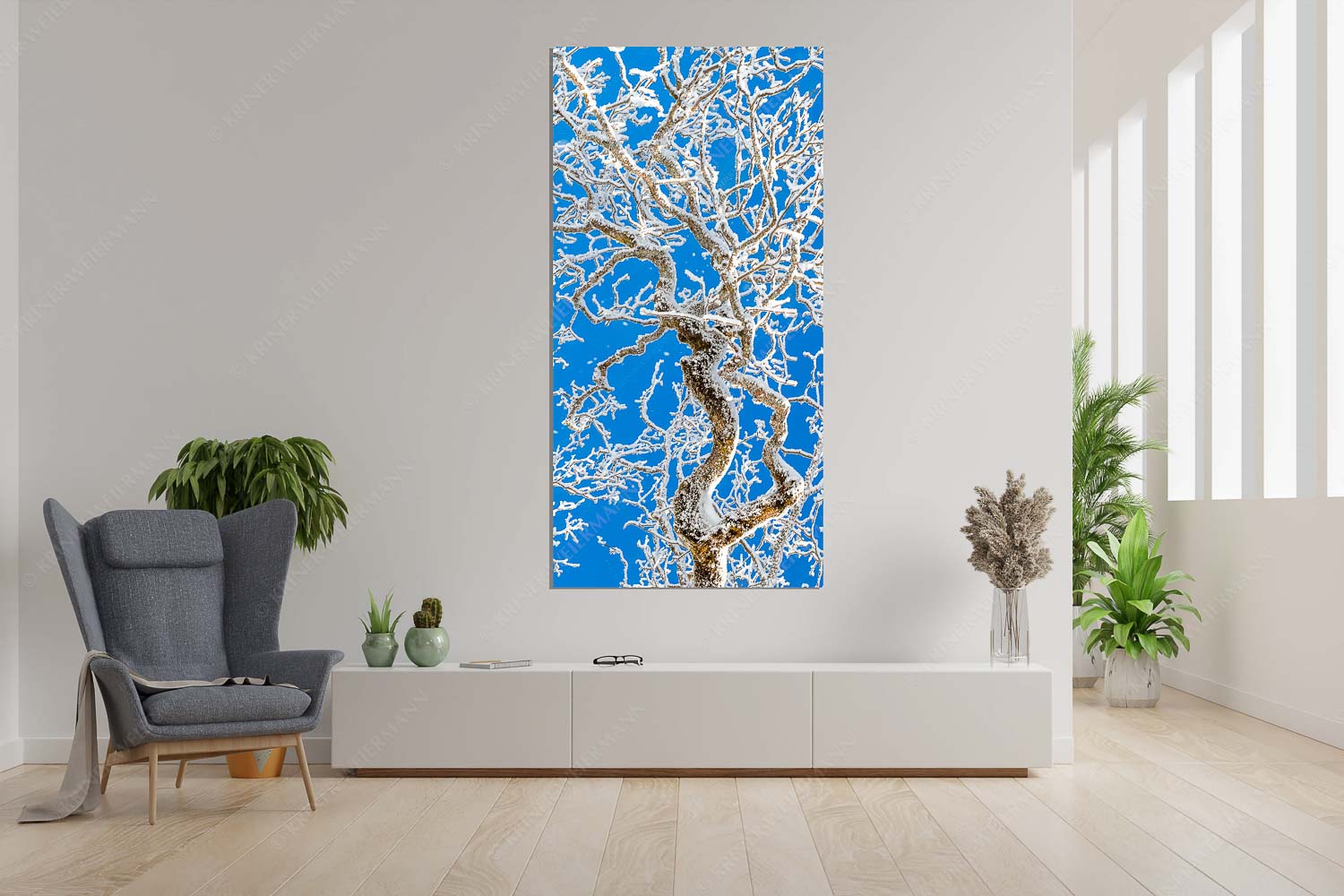 Geäst – Wandbild – Größe ca. 90x180cm, Seitenverhältnis 1:2 — Ahornbaum Winter Neuschnee an altem Ahornbaum - Geäst - Wandbild - Größe ca. 90x180cm, Seitenverhältnis 1:2 - Ahornbaum Winter - weitere Infos unter https://www.kriner-weiermann.de