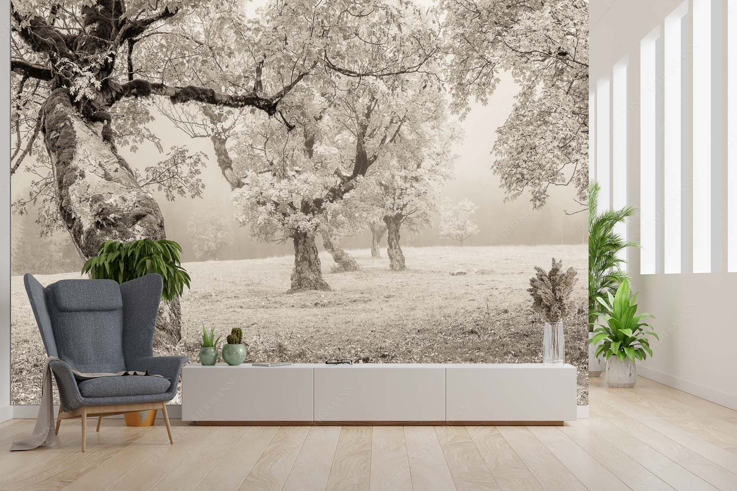 Stille Farben – Fototapete – Größe ca. 300x200cm, Seitenverhältnis 3:2 — Bergahorne Herbst Karwend Bergahorne in herbstlicher Pracht im Karwendelgebirge - Stille Farben - Fototapete - Größe ca. 300x200cm, Seitenverhältnis 3:2 - Bergahorne Herbst Karwend - weitere Infos unter https://www.kriner-weiermann.de