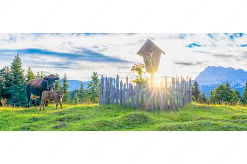 Mutterkuh mit Kalb und Feldkreuz mit Blick zum Karwendelgebirge - Wohl behütet - Seitenverhältnis 2,5:1 - Mutterkuh Kalb Feldkreuz - weitere Infos unter https://www.kriner-weiermann.de