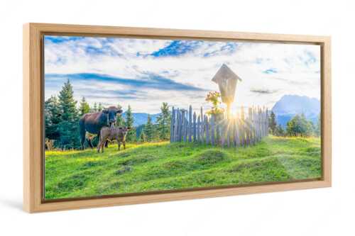 Mutterkuh mit Kalb und Feldkreuz mit Blick zum Karwendelgebirge - Wohl behütet - Foto im Schattenfugen-Rahmen, Seitenverhältnis 2:1 - Mutterkuh Kalb Feldkreuz - weitere Infos unter https://www.kriner-weiermann.de