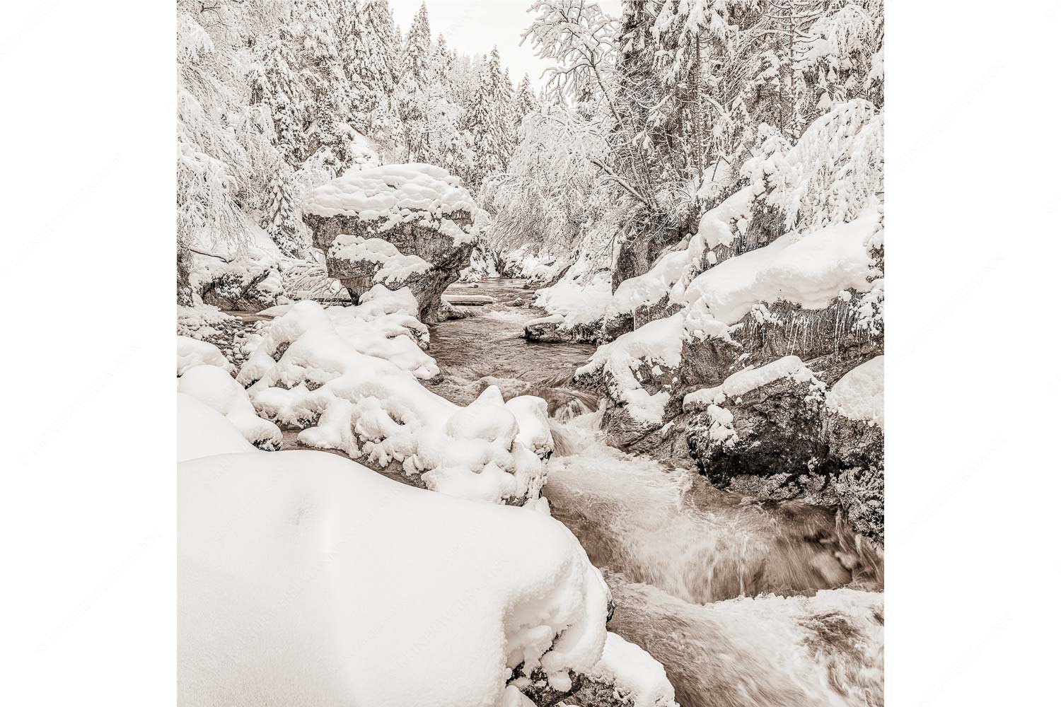 Der verschneite Rissbach zwischen Vorder- und Hinterriß