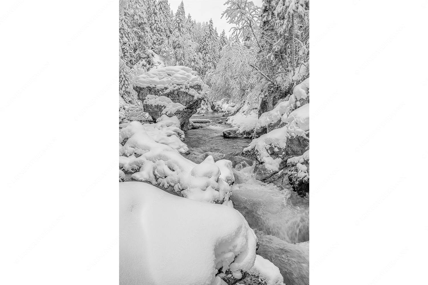 Der verschneite Rissbach zwischen Vorder- und Hinterriß