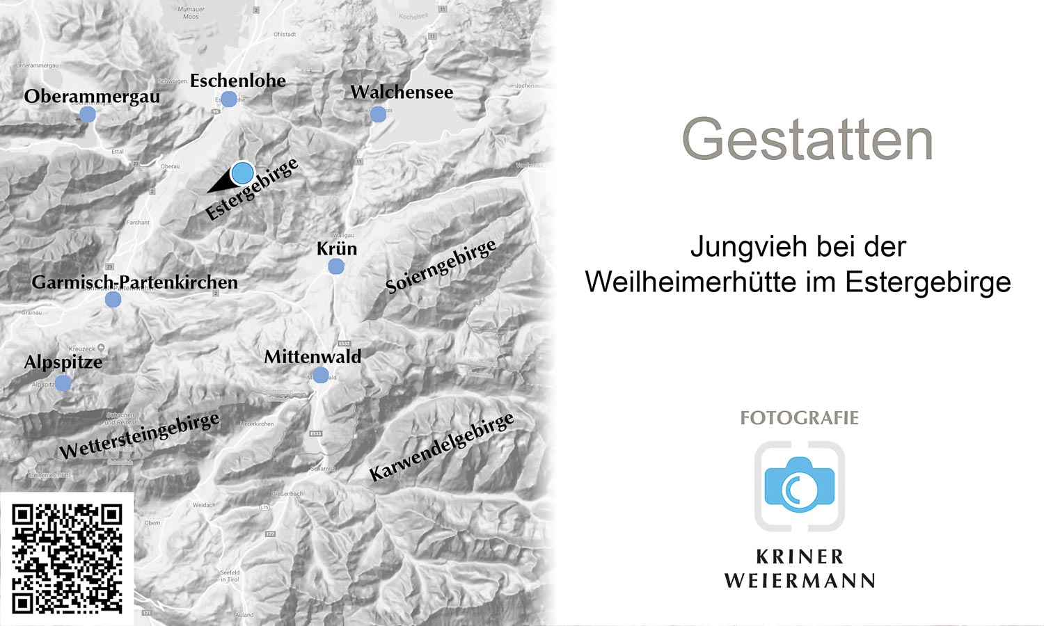 Gestatten — Jungvieh bei der Weilheimerhütte im Estergebirge - Gestatten -
