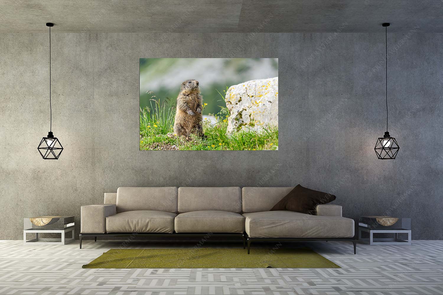 Neugieriges Murmeltier vor seinem Baum im Karwendelgebirge - Murmala II - Wandbild - Größe ca. 180x120cm, Seitenverhältnis 3:2 - Murmeltier im Karwendel - weitere Infos unter https://www.kriner-weiermann.de