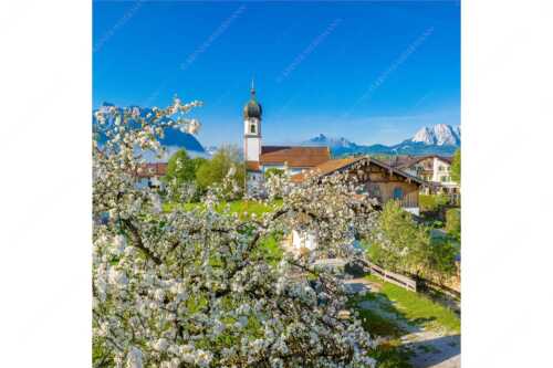 Kirche St. Sebastian in Krün mit Wetterstein- und Karwendelgebirge - Apfelblüte in Krün - Seitenverhältnis 1:1 - Kirche in Krün Karwendel und Wetterstein - weitere Infos unter https://www.kriner-weiermann.de