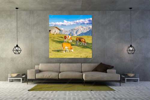 Blick über Krüneralm ins Karwendelgebirge - Auf da Krüneralm IV - Wandbild - Größe ca. 160x160cm, Seitenverhältnis 1:1 - Junge Kälber im Estergebirge - weitere Infos unter https://www.kriner-weiermann.de