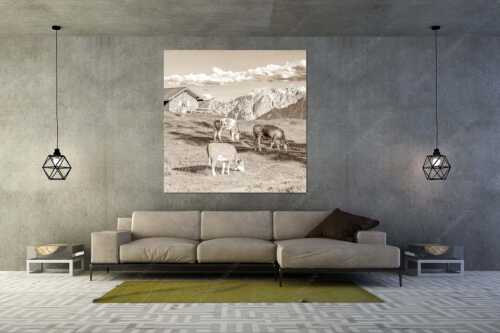 Blick über Krüneralm ins Karwendelgebirge - Auf da Krüneralm IV - Wandbild - Größe ca. 160x160cm, Seitenverhältnis 1:1 - Junge Kälber im Estergebirge - weitere Infos unter https://www.kriner-weiermann.de