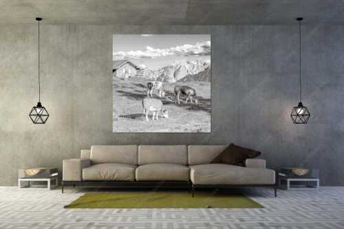 Blick über Krüneralm ins Karwendelgebirge - Auf da Krüneralm IV - Wandbild - Größe ca. 160x160cm, Seitenverhältnis 1:1 - Junge Kälber im Estergebirge - weitere Infos unter https://www.kriner-weiermann.de