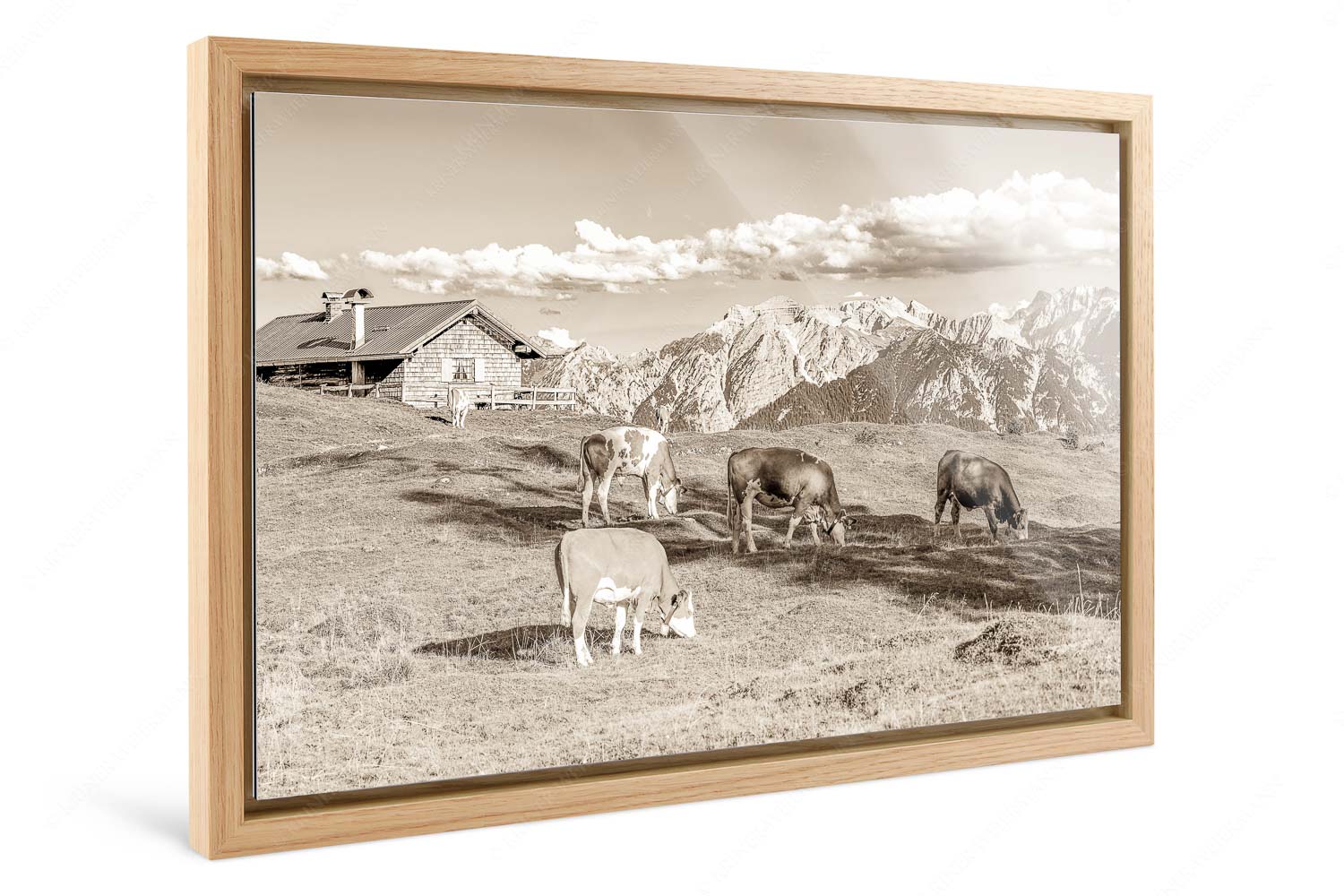 Auf da Krüneralm IV – Foto im Schattenfugen-Rahmen, Seitenverhältnis 3:2 — Junge Kälber im Estergebirge Blick über Krüneralm ins Karwendelgebirge - Auf da Krüneralm IV - Foto im Schattenfugen-Rahmen, Seitenverhältnis 3:2 - Junge Kälber im Estergebirge - weitere Infos unter https://www.kriner-weiermann.de